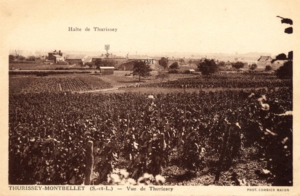 Thurissey