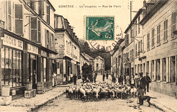 Gonesse,
Flock