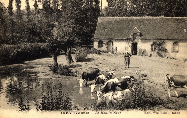 Diey,
Mill
