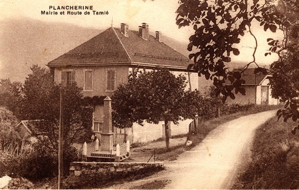 PLANCHERINE