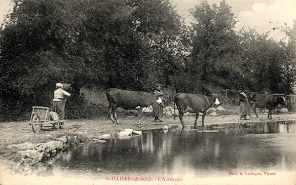 SAINT-ILLIERS-LE-BOIS