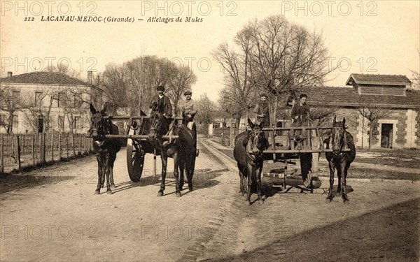 LACANAU