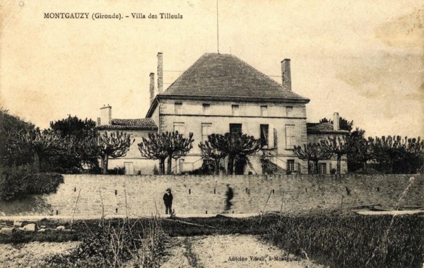 MONGAUZY