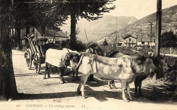 LOURDES