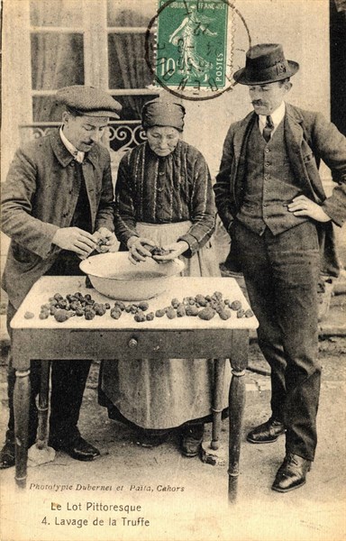 TRUFFLES