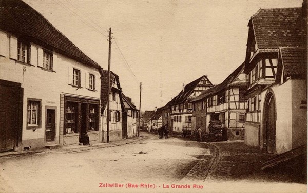 ZELLWILLER