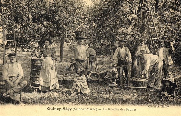 QUINCY-VOISINS-SEGY