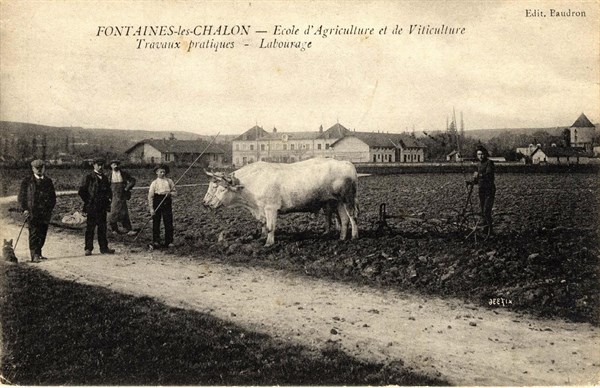 FONTAINES
