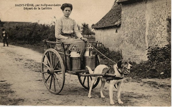 SAINT-PERE-SUR-LOIRE