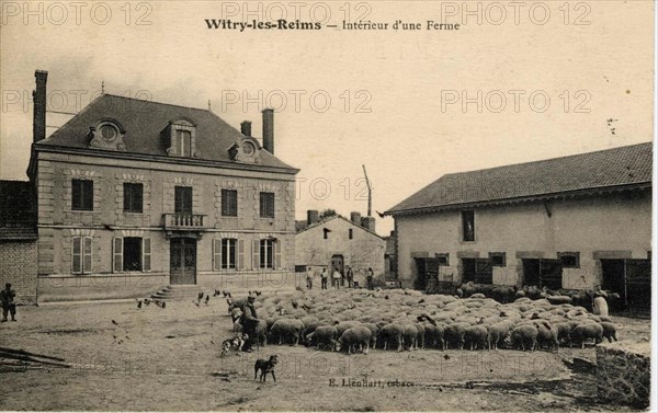WITRY-LES-REIMS