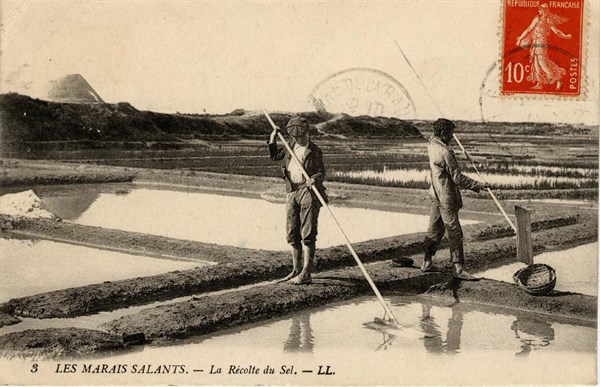 ILE-DE-RE