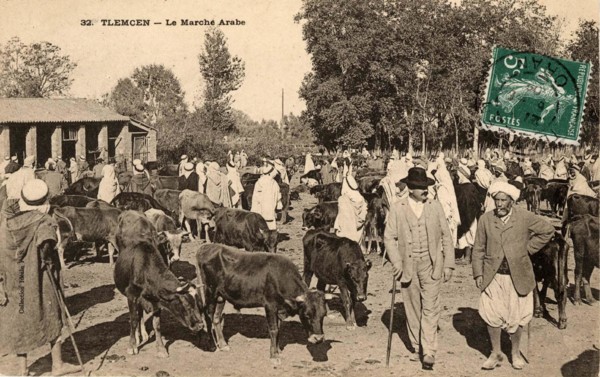 TLEMCEN