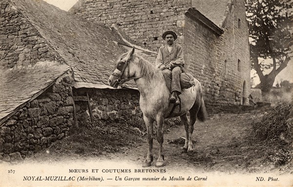 NOYAL-MUZILLAC