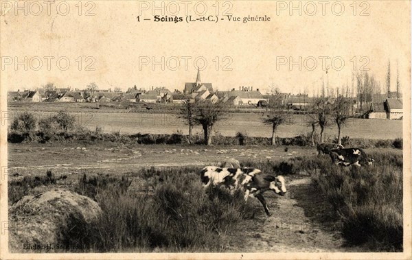 SOINGS-EN-SOLOGNE
