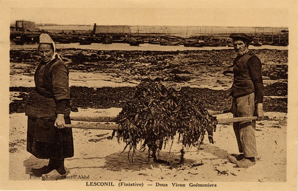 LESCONIL