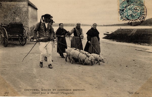 PLOUGASTEL-DAOULAS