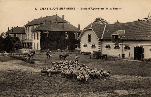 CHATILLON-SUR-SEINE