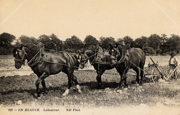 ANIMAUX-CHEVAUX