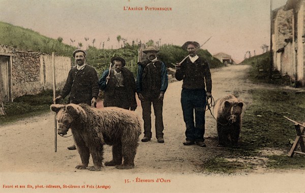 ANIMALS-BEARS