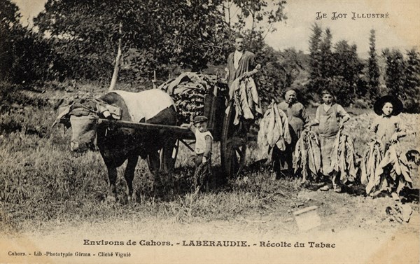 TABACCO SHOP