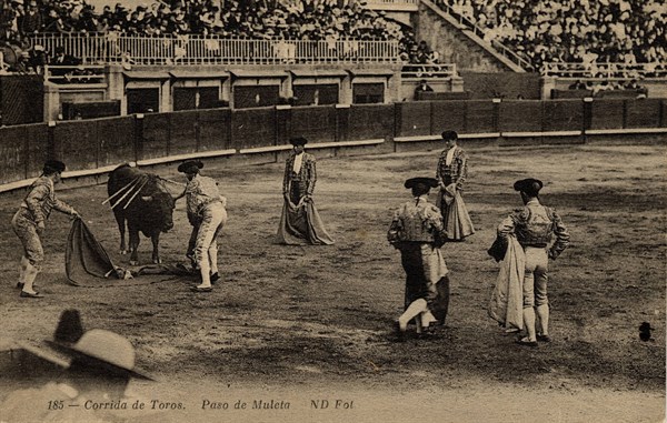 TAUROMACHIE