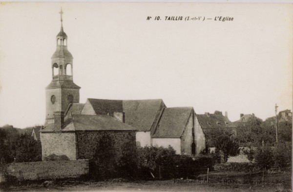 TAILLIS