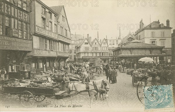 REIMS