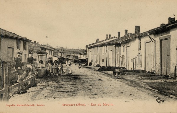 AVOCOURT