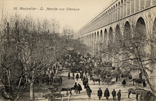 MONTPELLIER