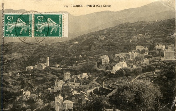 PINO