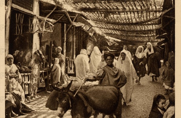MAROC