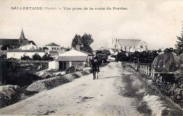 SALLERTAINE