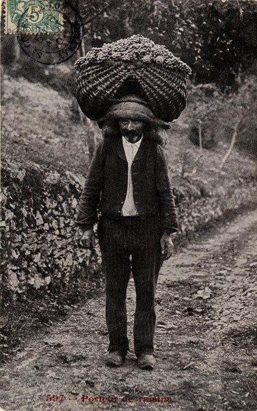 Grape carrier