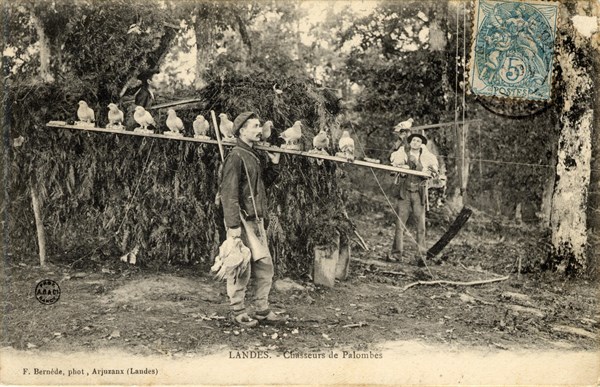 FOLKLORE