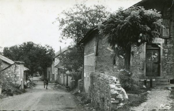 Contrevoz