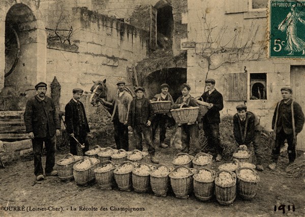 BOURRE