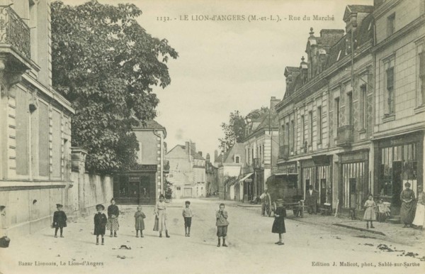 LION-D_ANGERS