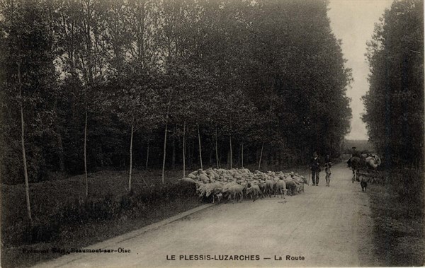 PLESSIS-LUZARCHES