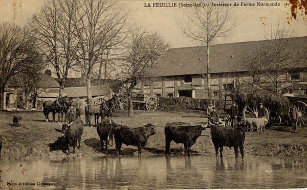 FEUILLIE