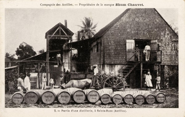SAINTE-ROSE