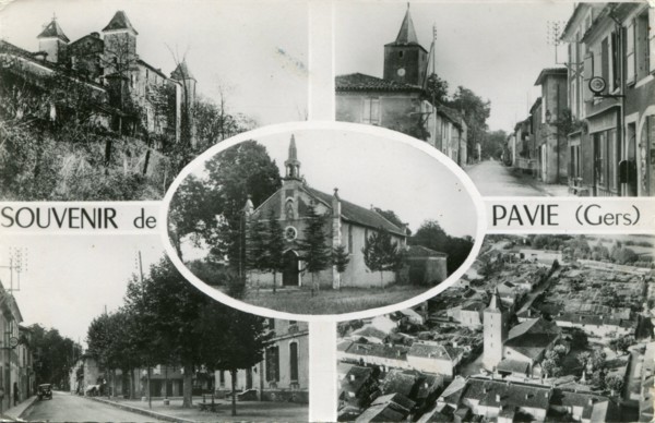 Pavie