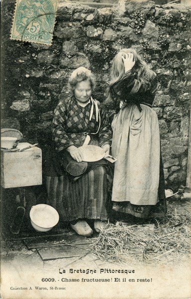 Chasse aux poux en Bretagne
