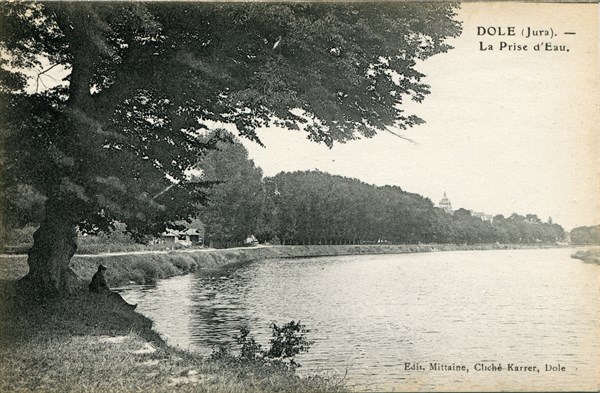 Dole.