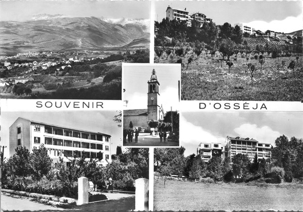 Osseja