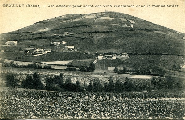 Brouilly