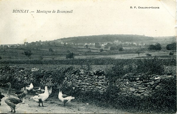 Bonnay