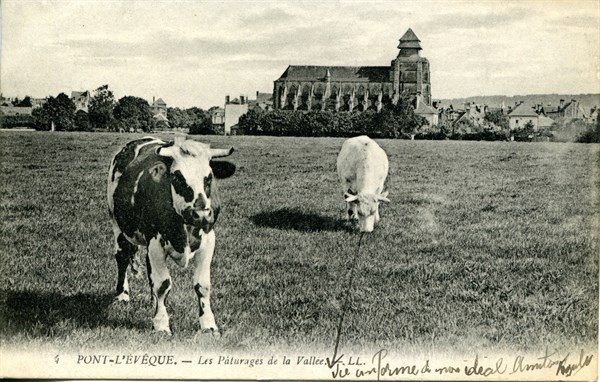 Pont-l'Evêque