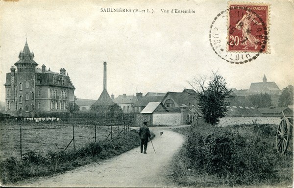 Saulnières