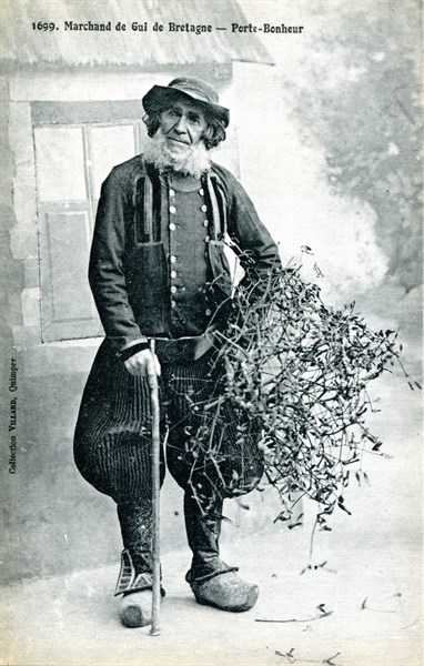 Brittany mistletoe merchant