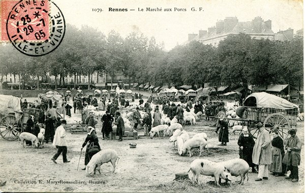 Rennes